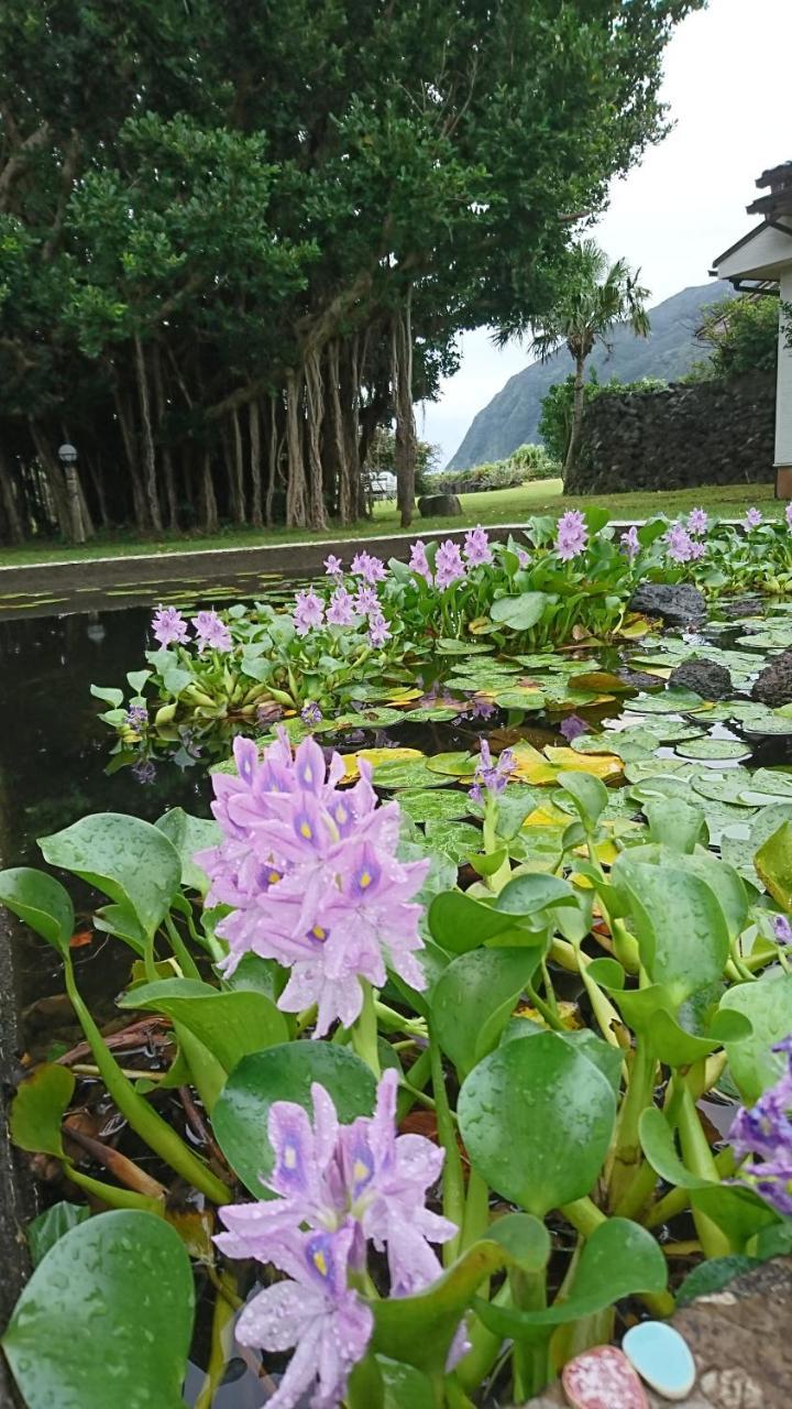 Sokodo-So Hachijo Luaran gambar